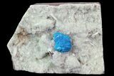 Vibrant Blue Cavansite Cluster on Stilbite - India #67806-1
